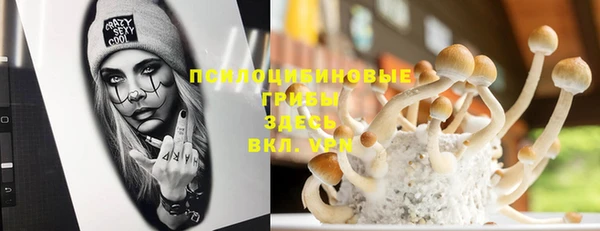 соль ск Белокуриха