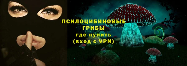 соль ск Белокуриха