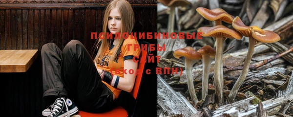 соль ск Белокуриха