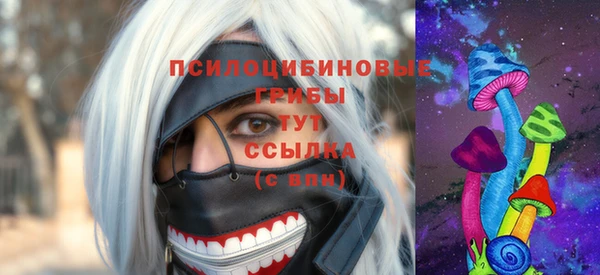 соль ск Белокуриха