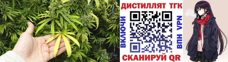 Дистиллят ТГК концентрат Пестово
